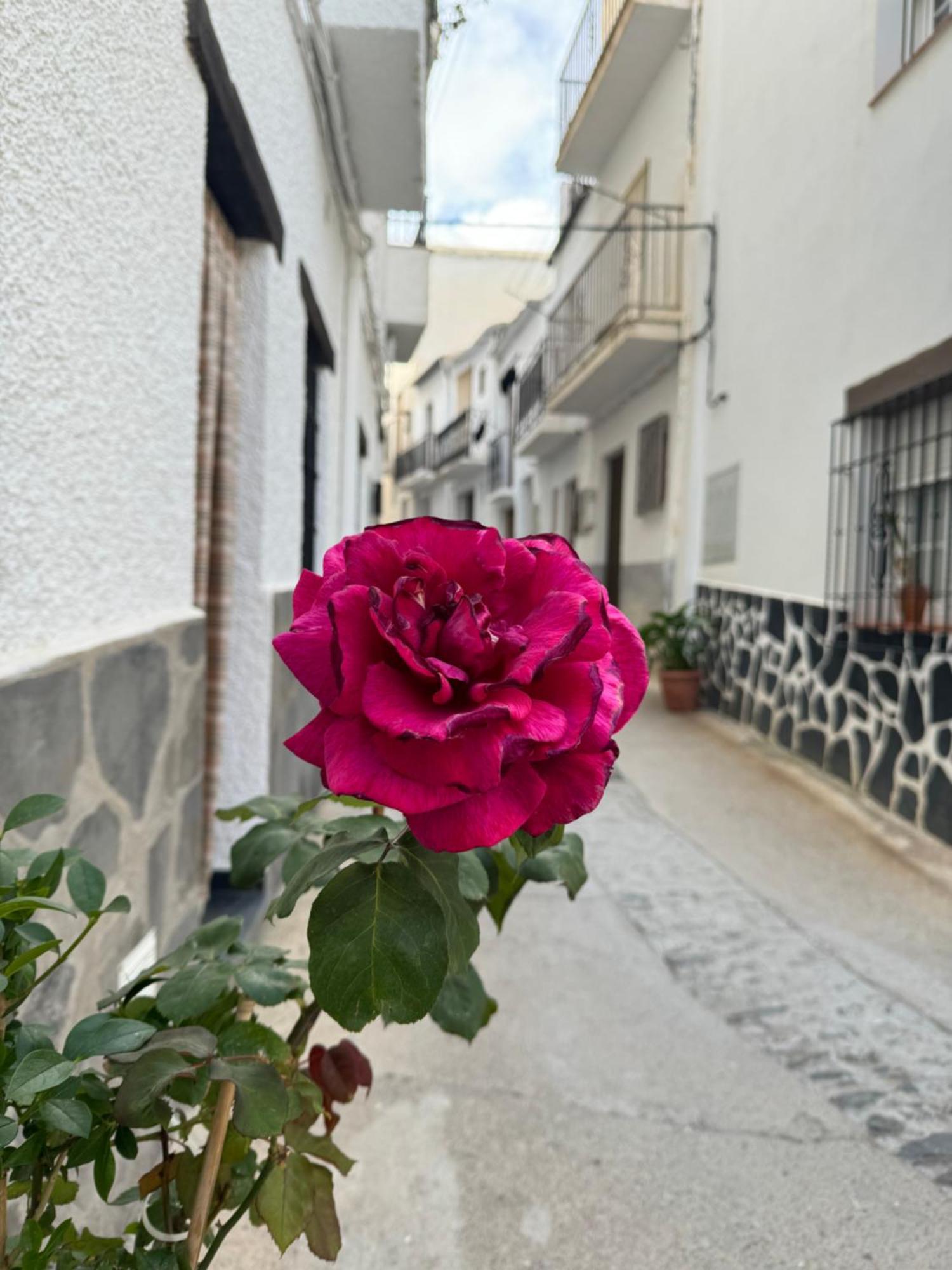 Apartamento Rural Julio Trevélez Esterno foto